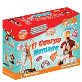 Cuerpo humano