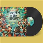 Something In The Water - Vinilo