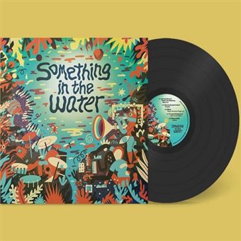Something In The Water - Vinilo