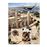 La expedición. El león de Nubia. Tercera edición