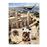 La expedición. El león de Nubia. Tercera edición