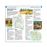 DK Eyewitness Travel Guide - Top 10 - Florence and Tuscany_3