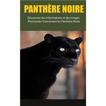 Panthère Noire: Découvrez des Informations et des Images Étonnantes Concernant les Panthère Noire - 1