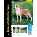 American Staffordshire Terrier (Excellence)