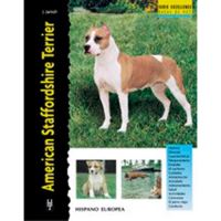 American Staffordshire Terrier
