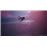 Directive 8020 Deluxe Edition Xbox Series X