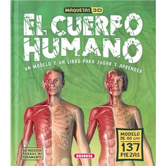 Modelo 3D del cuerpo completo. (Modelo de los autores)