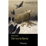 Tal Vez La Lluvia