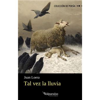 Tal Vez La Lluvia