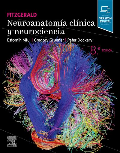 Elsevier España, S.l.u. Fitzgerald. Neuroanatomía Clínica Y Neurociencia