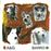 Sn-Barro - Vinilo Single 12" Marron + CD