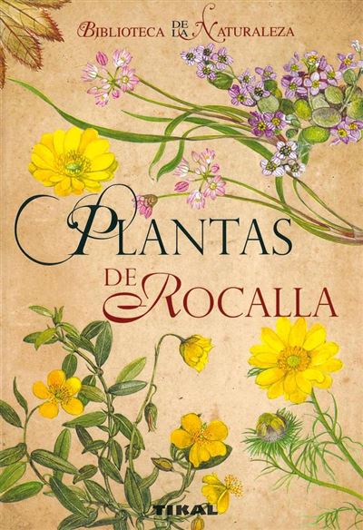 Tikal Plantas De Rocalla