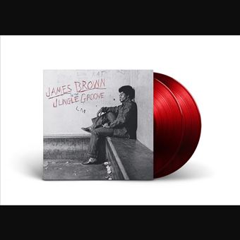 Lp-in the jungle groove (2lp)