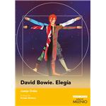 David bowie-elegia