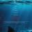 Infierno azul - DVD_0