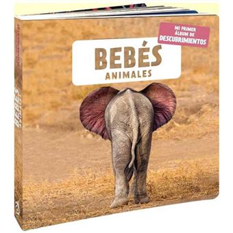 Bebés animales