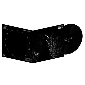Lp-a body like a home