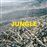 Jungle