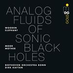 Lp-analog fluids of sonic black hol