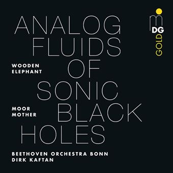 Lp-analog fluids of sonic black hol