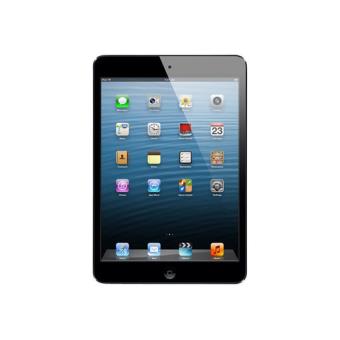 iPad mini 16 GB WiFi gris espacial