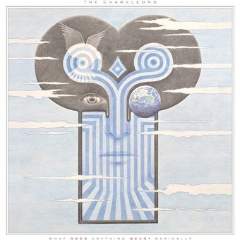 What Does Anything Mean? Basically - Vinilo