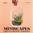 Miniscapes. Crea tu propio terrario_0