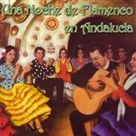 Una noche de flamenco en andalucia