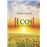 Ecos del Recuerdo_0