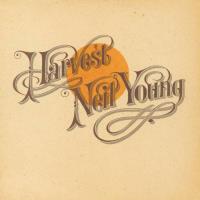 Box Set Archives Vol. III (1976-1987) -17 CDs - Neil Young - Disco
