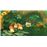 Donkey Kong Bananza Nintendo Switch 2