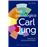 Test Psicologico De Carl Jung