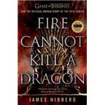 Fire cannot kill a dragon