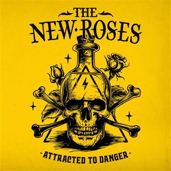 Attracted To Danger - CD