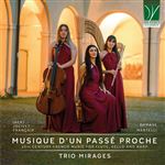 19Th Century French Mus For Fl Vlch