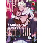Kabukicho bad trip n.1