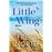 Little wing
