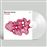 Circadia - Vinilo Transparente