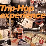 Trip Hop Experience 01 - 2 Vinilos