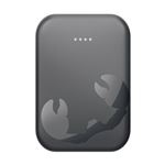 Powerbank Fresh'n Rebel 10000 mAh Gris oscuro