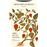 Libro De Las Plantas