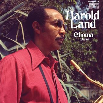 Choma (Burn) - Vinilo