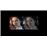 TV SQD-Mini LED 65" TCL 65C8L 4K UHD Smart TV