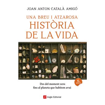 Una breu i atzarosa historia de la