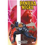 Pantera Negra De Eve Ewing 2 Reinado En La Sombra