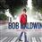 Bob Baldwin Presents Abbey Road and the Beatles - 2 Vinilos
