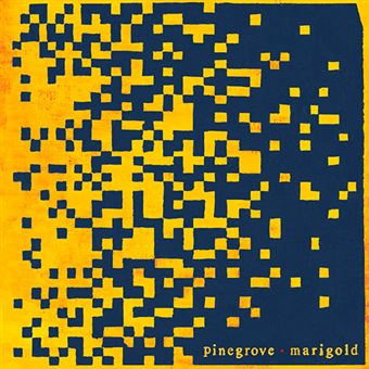 Lp-marigold