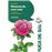 Historia de una rosa