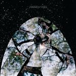 Friendly Fires - Vinilo Plata