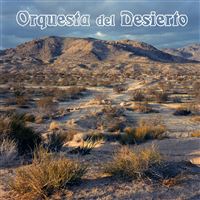Orquesta Del Desierto - Vinilo